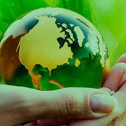 Sustainability Illustration Photo – HEG-FR