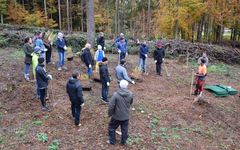 sortie équipe HEG-FR forêt arbres
